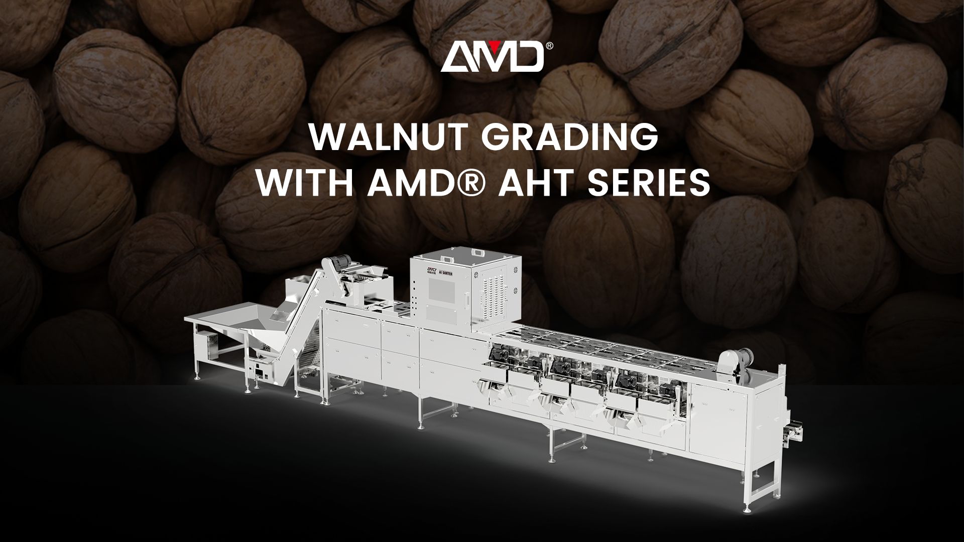 AMD® AHT Serisi | Kabuklu Ceviz Sınıflandırma Makinesi