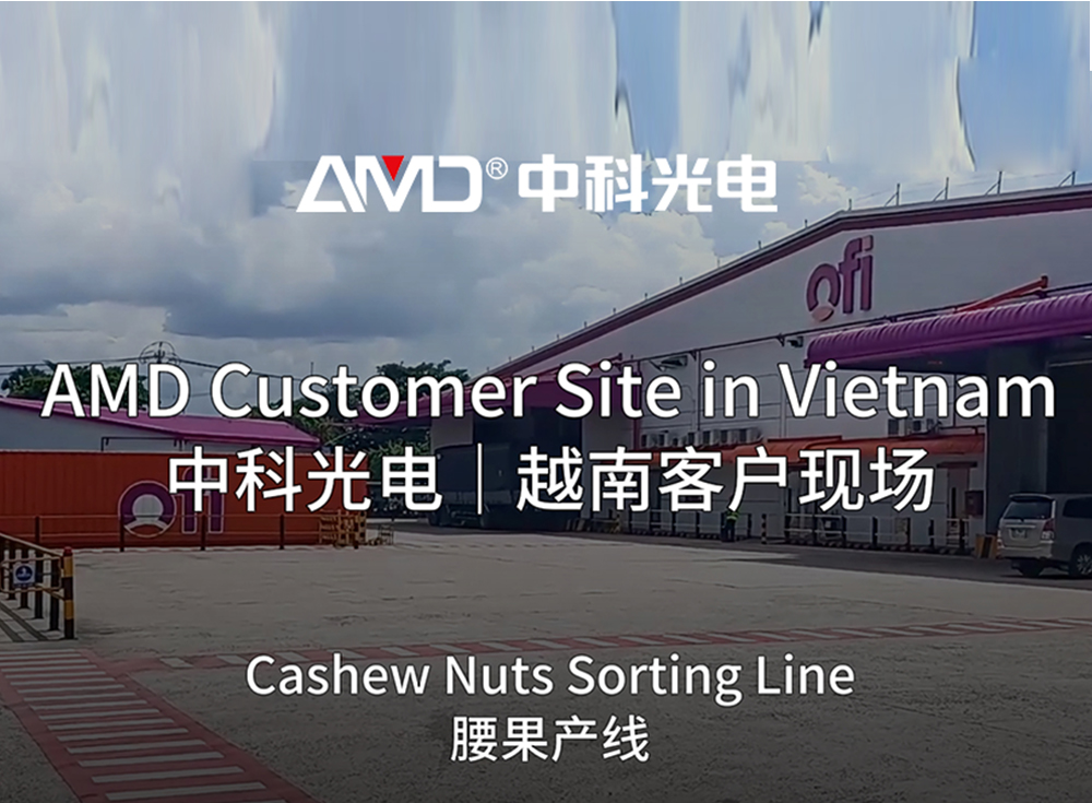 Vietnam Kaju İşleyicisi AMD® Ayıklama Teknolojisi ile Üretimi İyileştiriyor