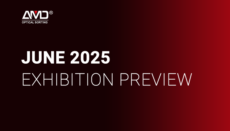 Haziran 2025'te Küresel Sergilerde AMD SORTING ile Tanışın